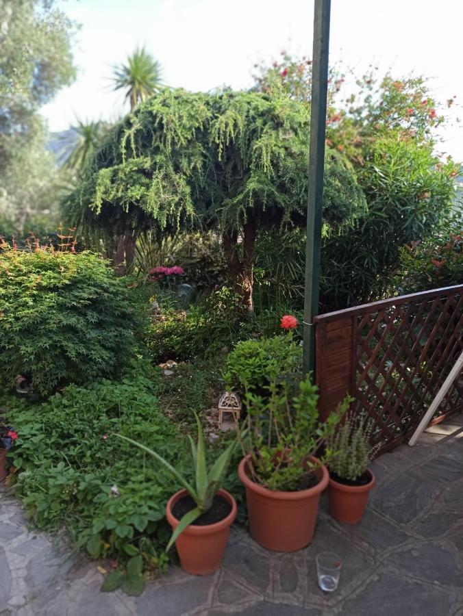 Il Glicine Cozy Appartamnent, Near Sestri Levante Between Cinque Terre E Portofino Казарца-Лигуре Экстерьер фото