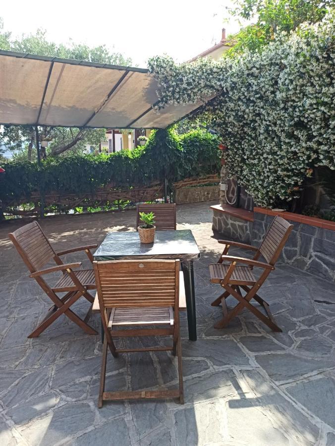Il Glicine Cozy Appartamnent, Near Sestri Levante Between Cinque Terre E Portofino Казарца-Лигуре Экстерьер фото