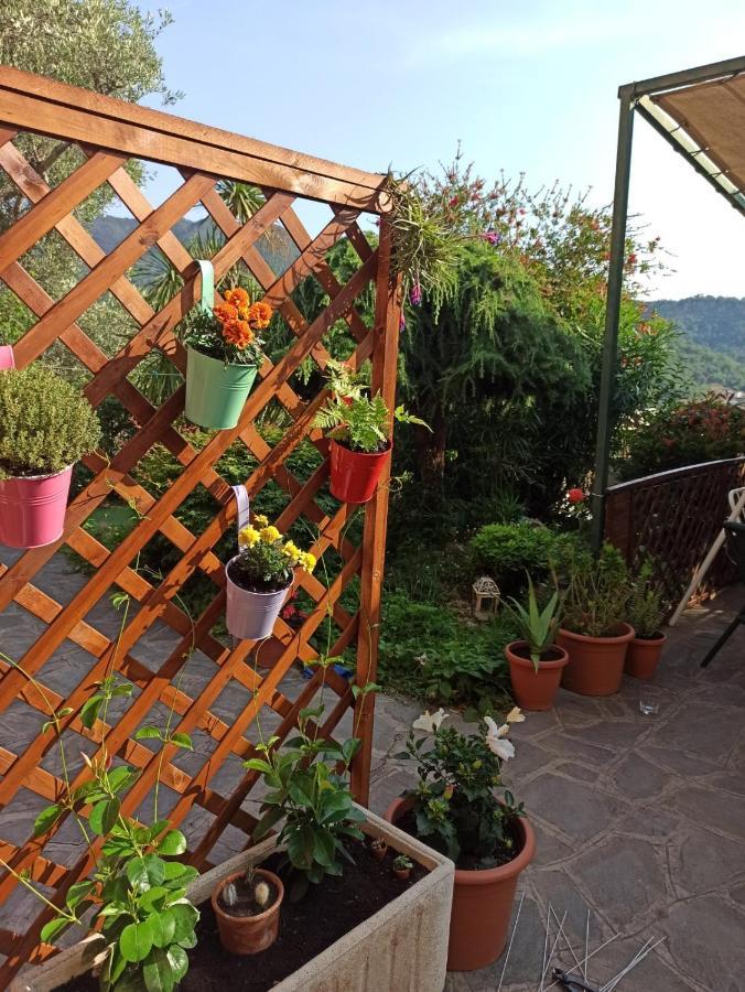 Il Glicine Cozy Appartamnent, Near Sestri Levante Between Cinque Terre E Portofino Казарца-Лигуре Экстерьер фото