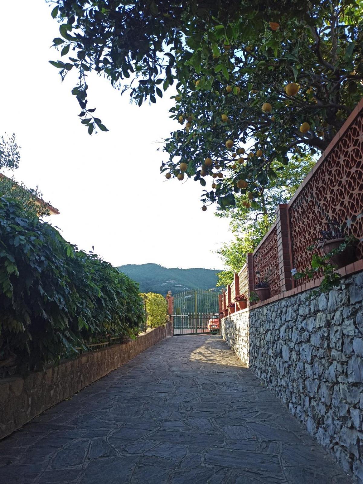 Il Glicine Cozy Appartamnent, Near Sestri Levante Between Cinque Terre E Portofino Казарца-Лигуре Экстерьер фото